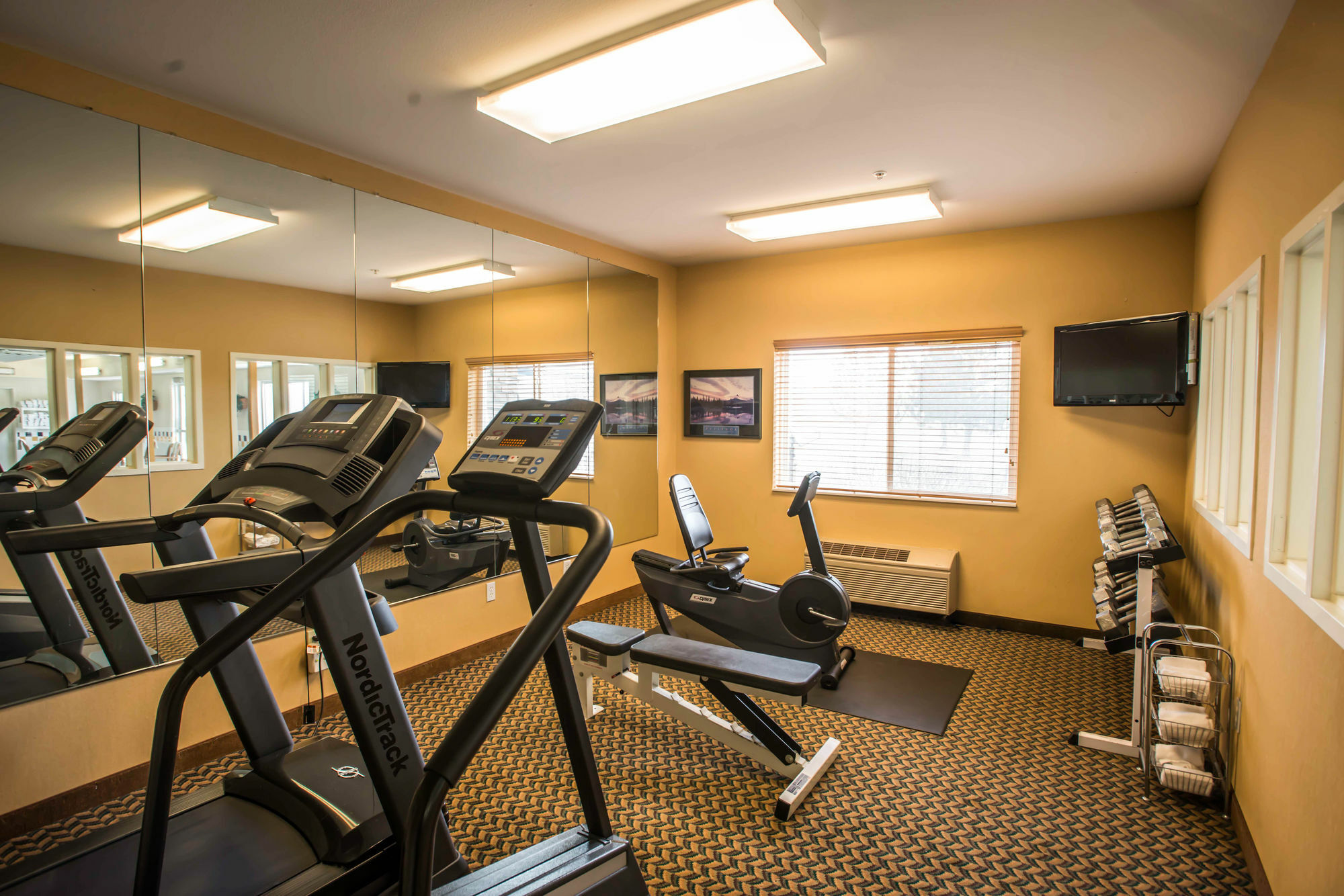 Comfort Inn Fort Collins North Luaran gambar